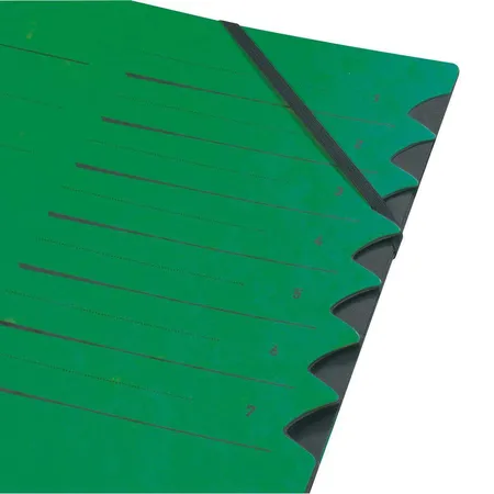 Herlitz Ordnungsmappe 1-7 grün Pappe