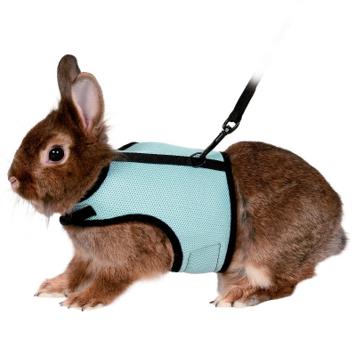 Trixie Softgeschirr mit Leine für Kaninchen