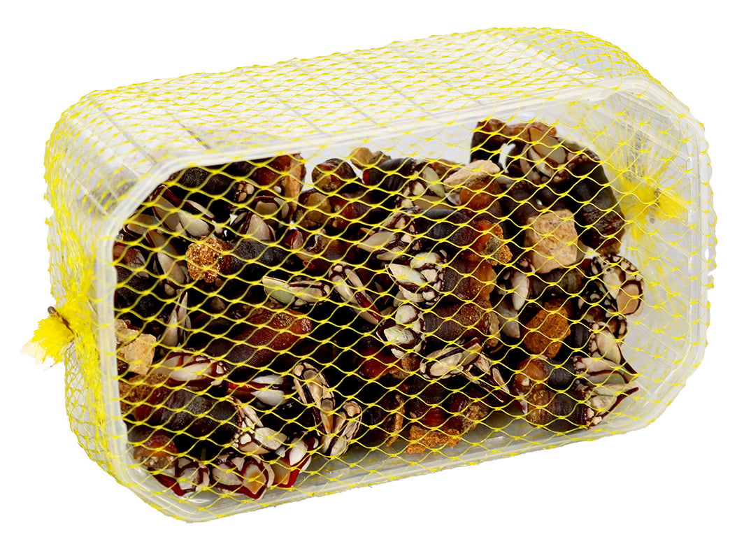 PERCEBES FRESCOS 500 GR