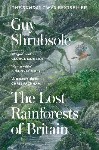 The Lost Rainforests of Britain (Paperback)