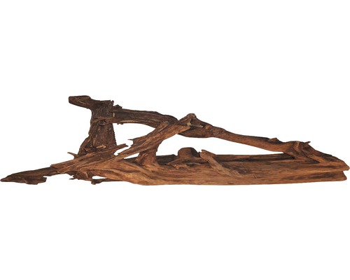 Decoratie Mangrove Wortel X-Large
