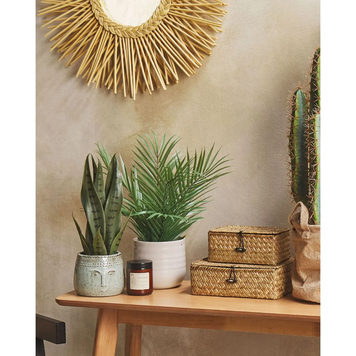 BELIANI SNAKE PLANT 40 cm Vert