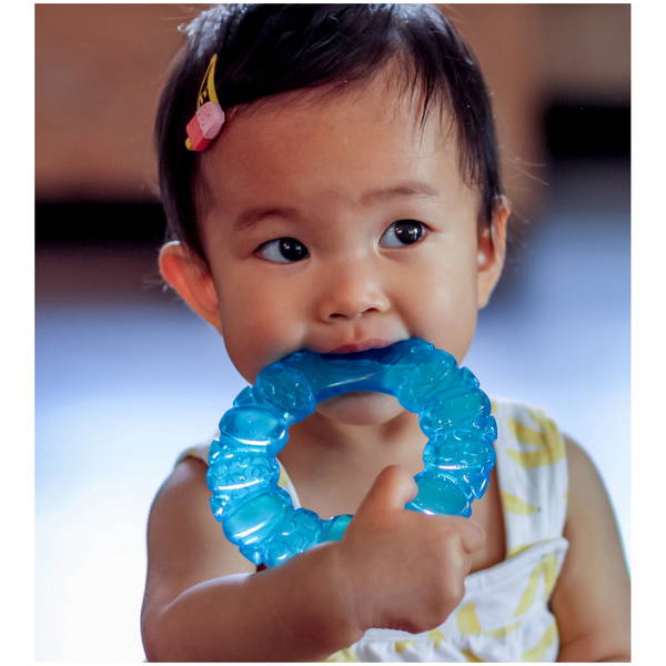 PlaygroPlaygro   Beissring Soothing Circle