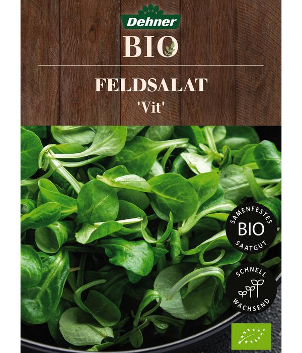 Dehner Bio-Saatgut Feldsalat 'Vit'