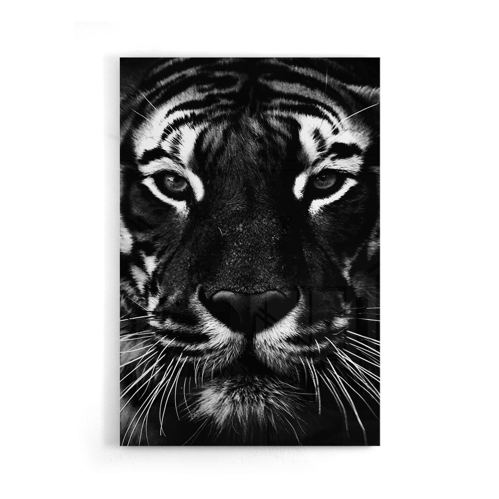 Walljar acrylglas schilderij - Facing Tiger Acrylglas schilderij - 50 x 70 cm