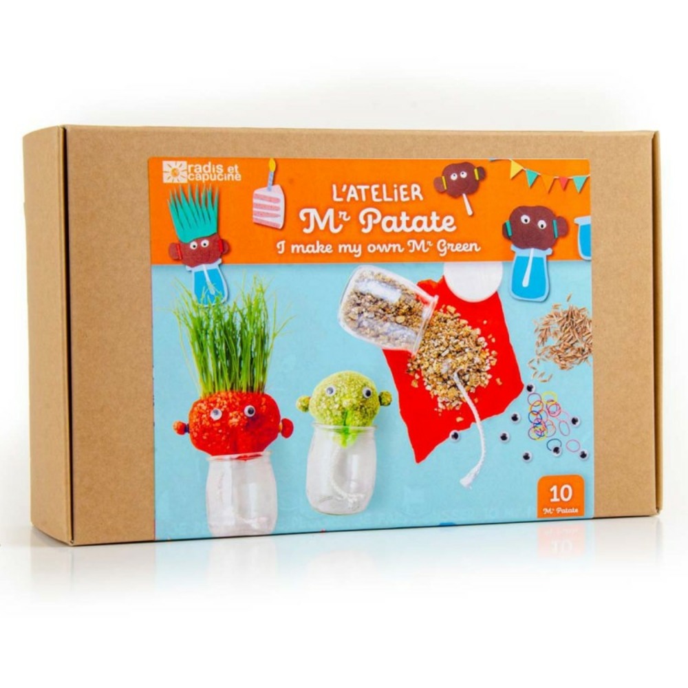 Coffret anniversaire 10 mr patate