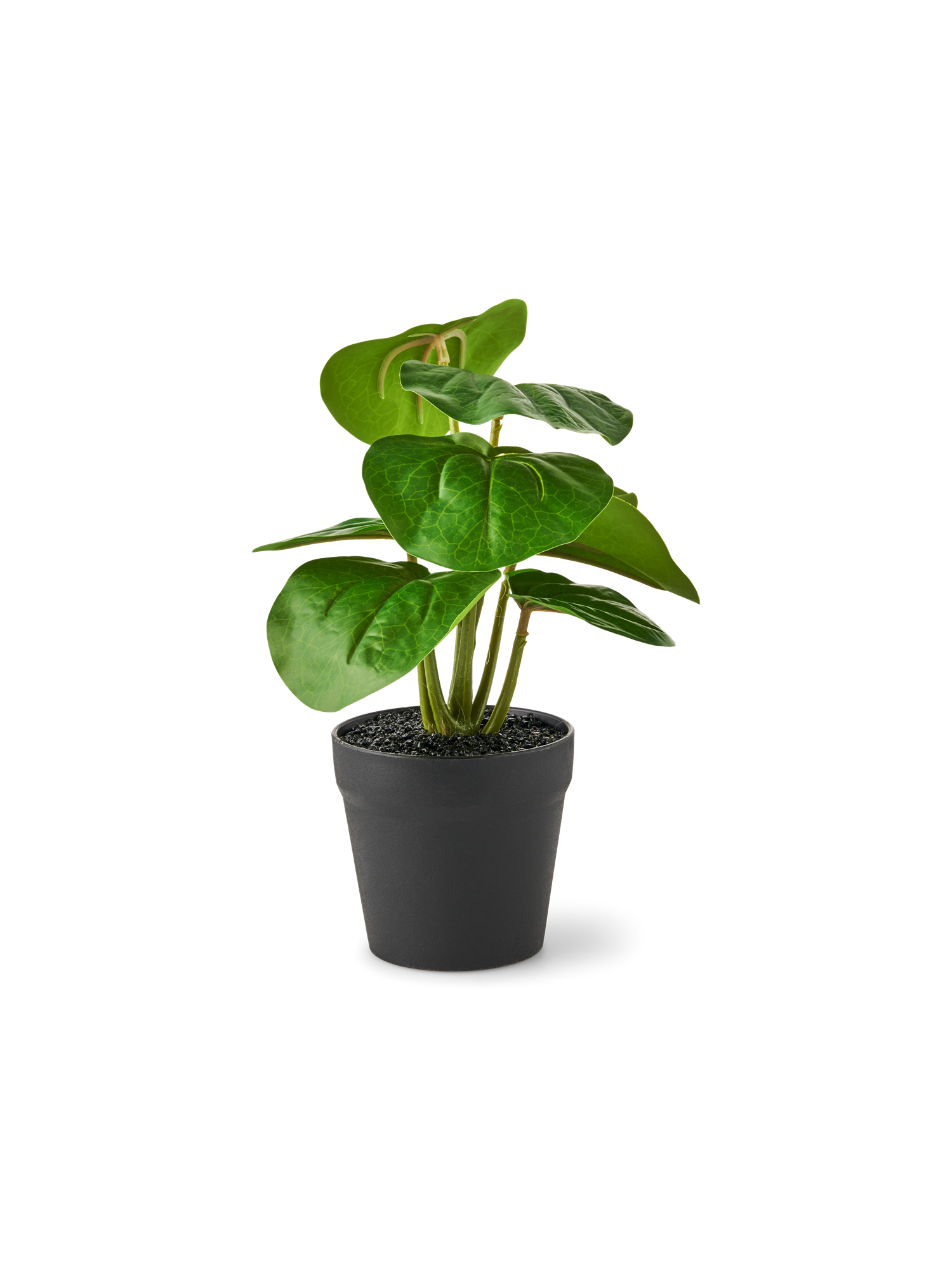 Kunstig plante i potte filodendron | Ø9 x 22 cm.  | Green