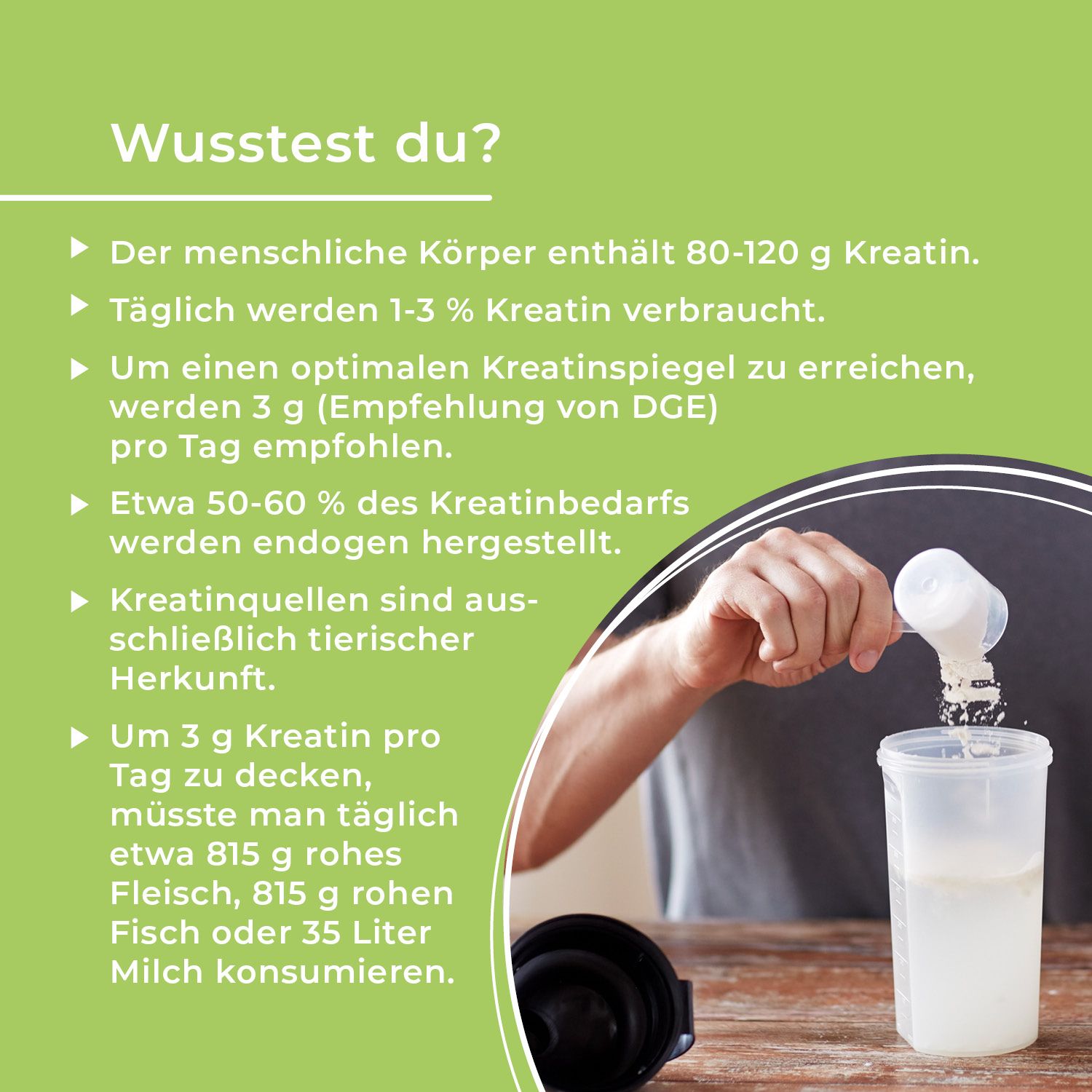 GreatVita Kreatin Monohydrat Pulver
