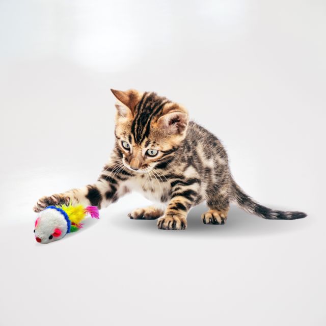 Lyra Pet® Spielmäuse