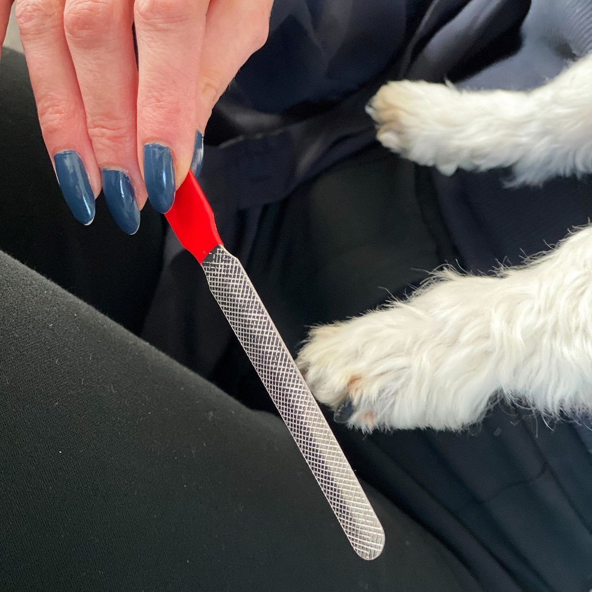 Hundekloklippere i rustfritt stål (rød)