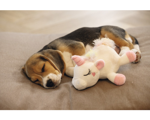 Beeztees Puppy Unicorn Owen Hondenspeelgoed, Wit en Roze, 18 x 15 x 11 cm