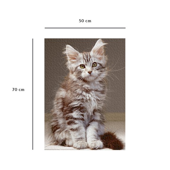 Puzzle 1000 Pièces Nathan - Le chaton Maine Coon