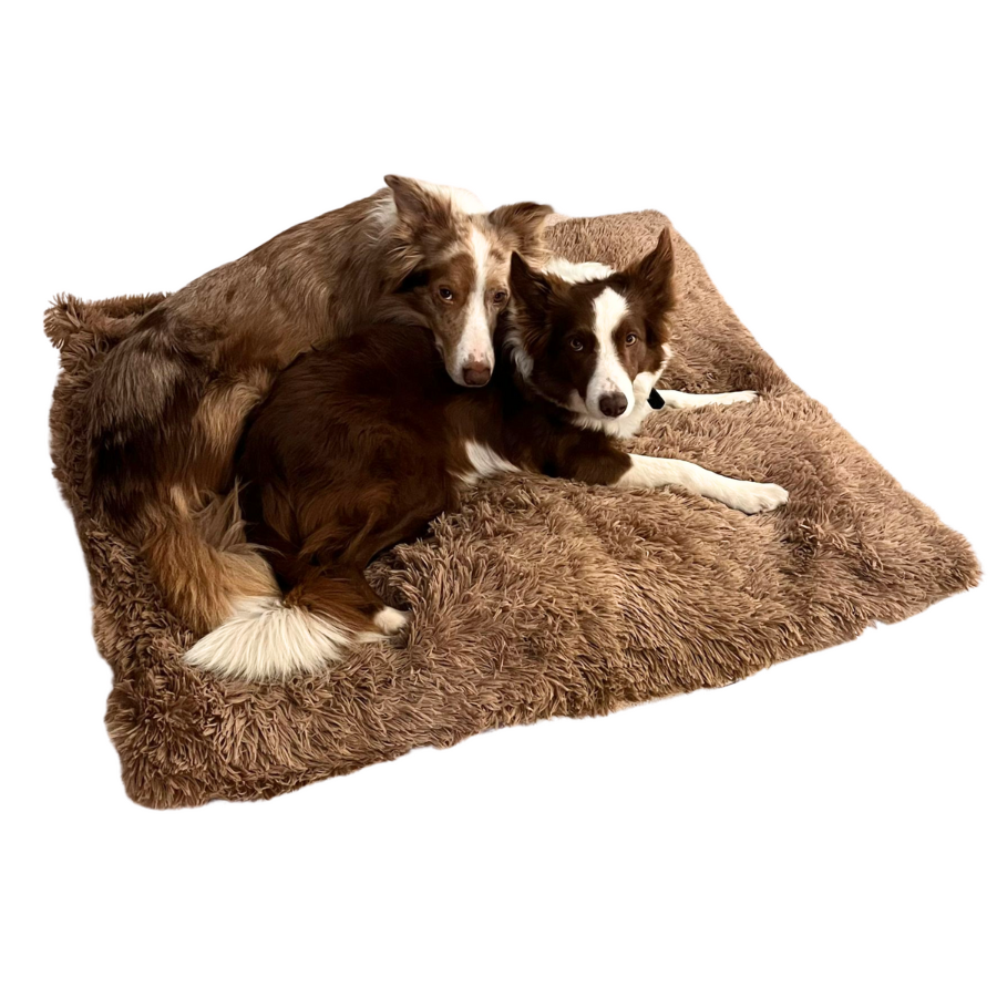 Cama para cães de porte médio e grande da THE ATTIC PETS. Cama para cães. Cama para animais de estimação. Cama lavável para cães, 100x90 cm. Cama antiestresse para cães. Tapete para cães. Cama para animais de estimação.