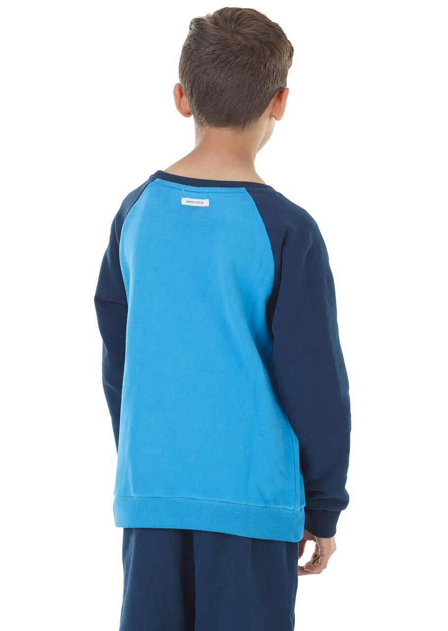 Picture Travel ML Duck Blue 10