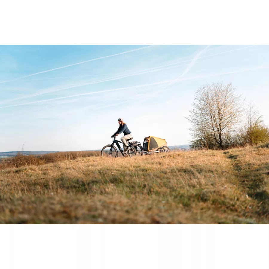 CROOZER Hundeanhänger Dog Mikke Colourful Journey