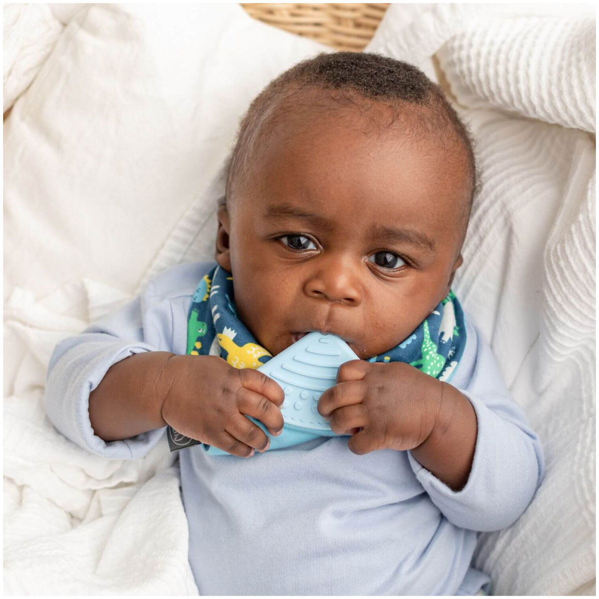 Cheeky ChompersCheeky Chompers   Neckerchew Dreieckstuch Baby Dino