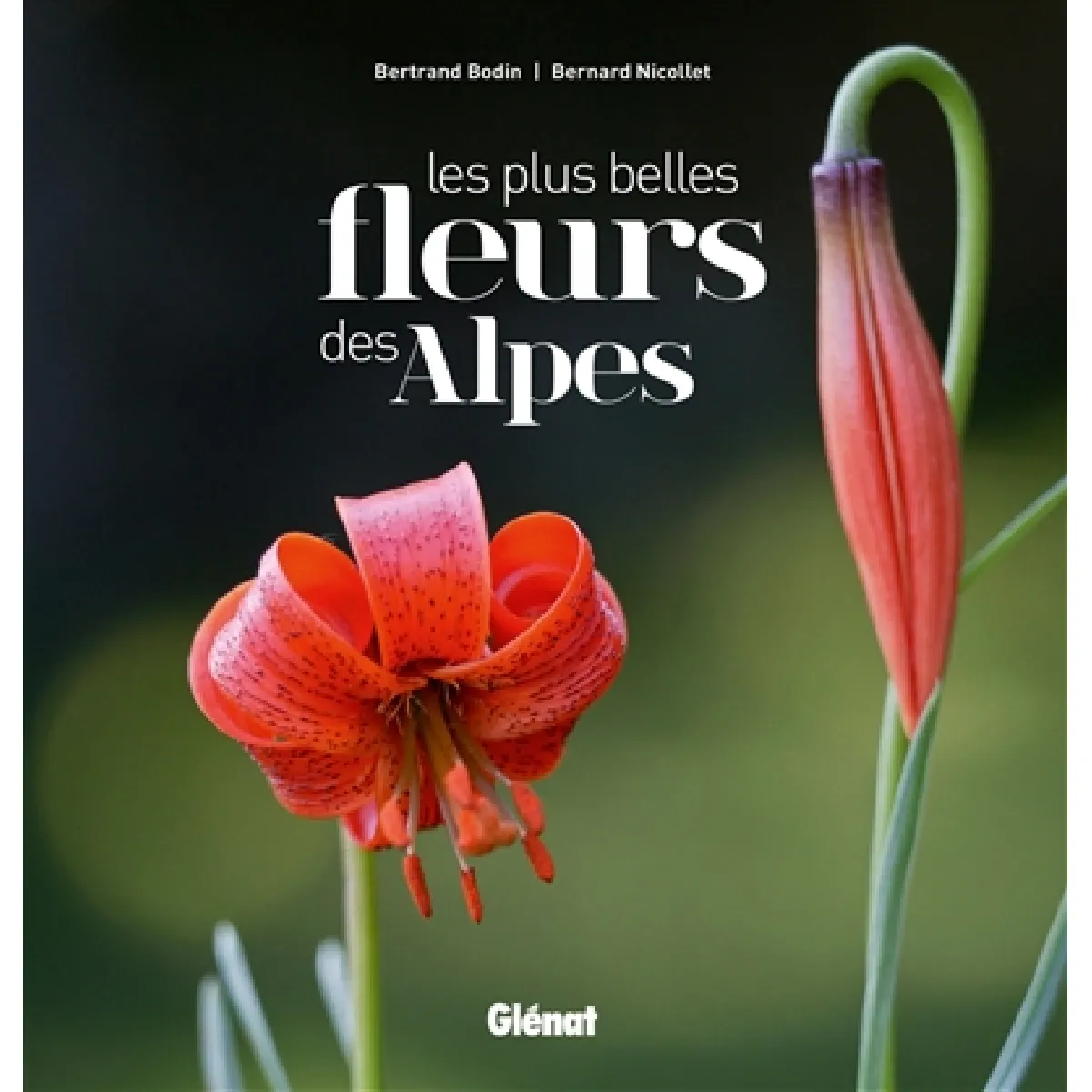 Les plus belles fleurs des Alpes · Occasion