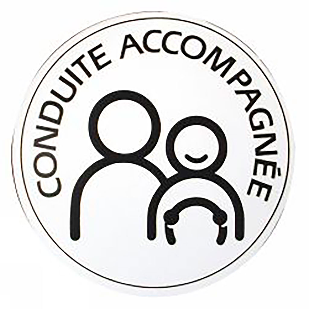 Disque conduite accompagnée électrostatique