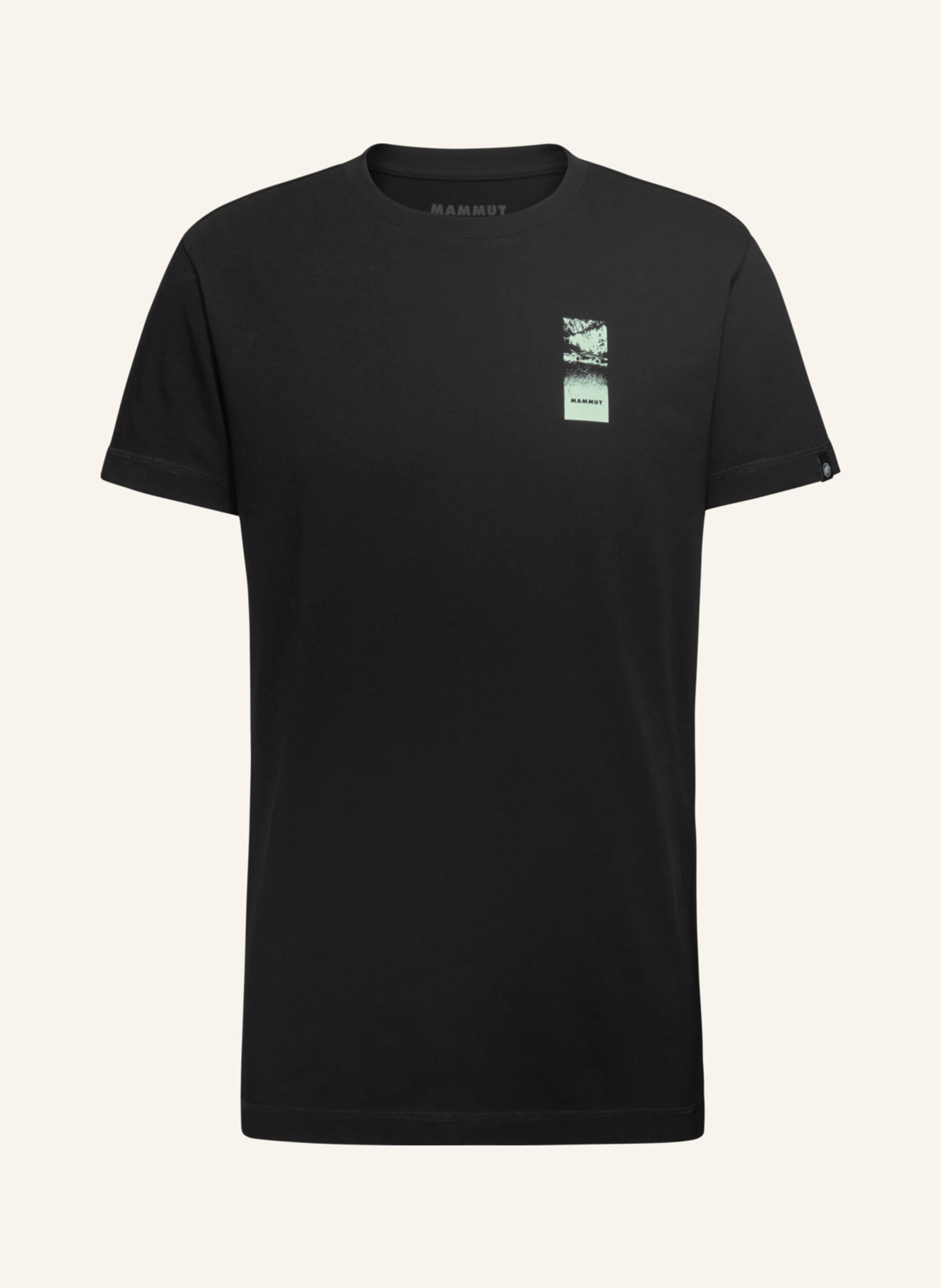 MAMMUT T-Shirt MASSONE