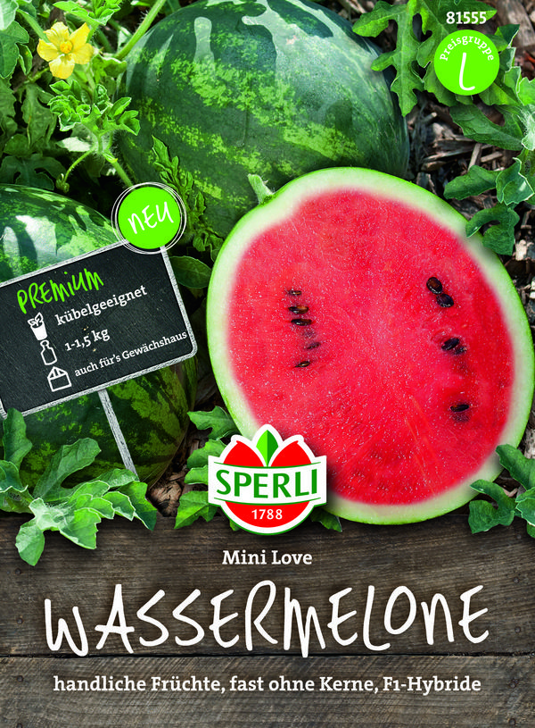 SPERLI Samen Wassermelone 'Mini Love'