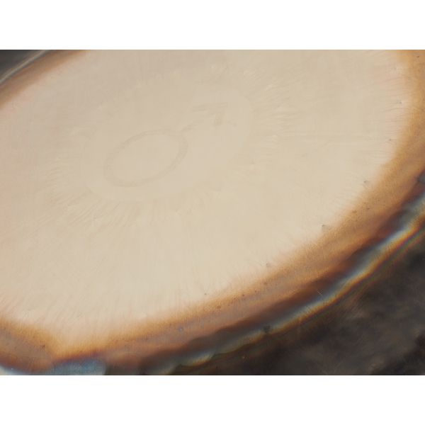 RealGong 32