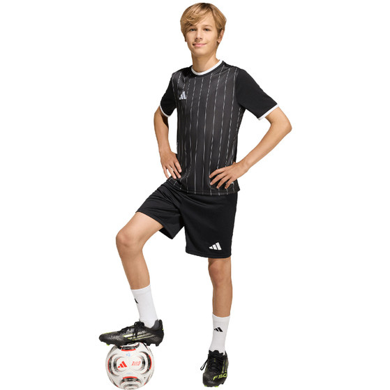 adidas Entrada 26 GFX Trainingsset