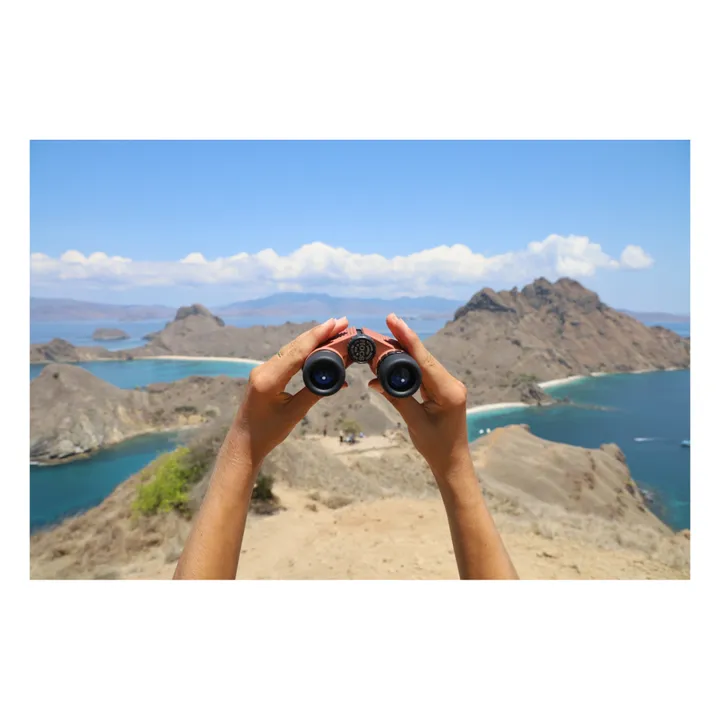 Nocs Provisions Jumelles waterproof Binoculars | Orange