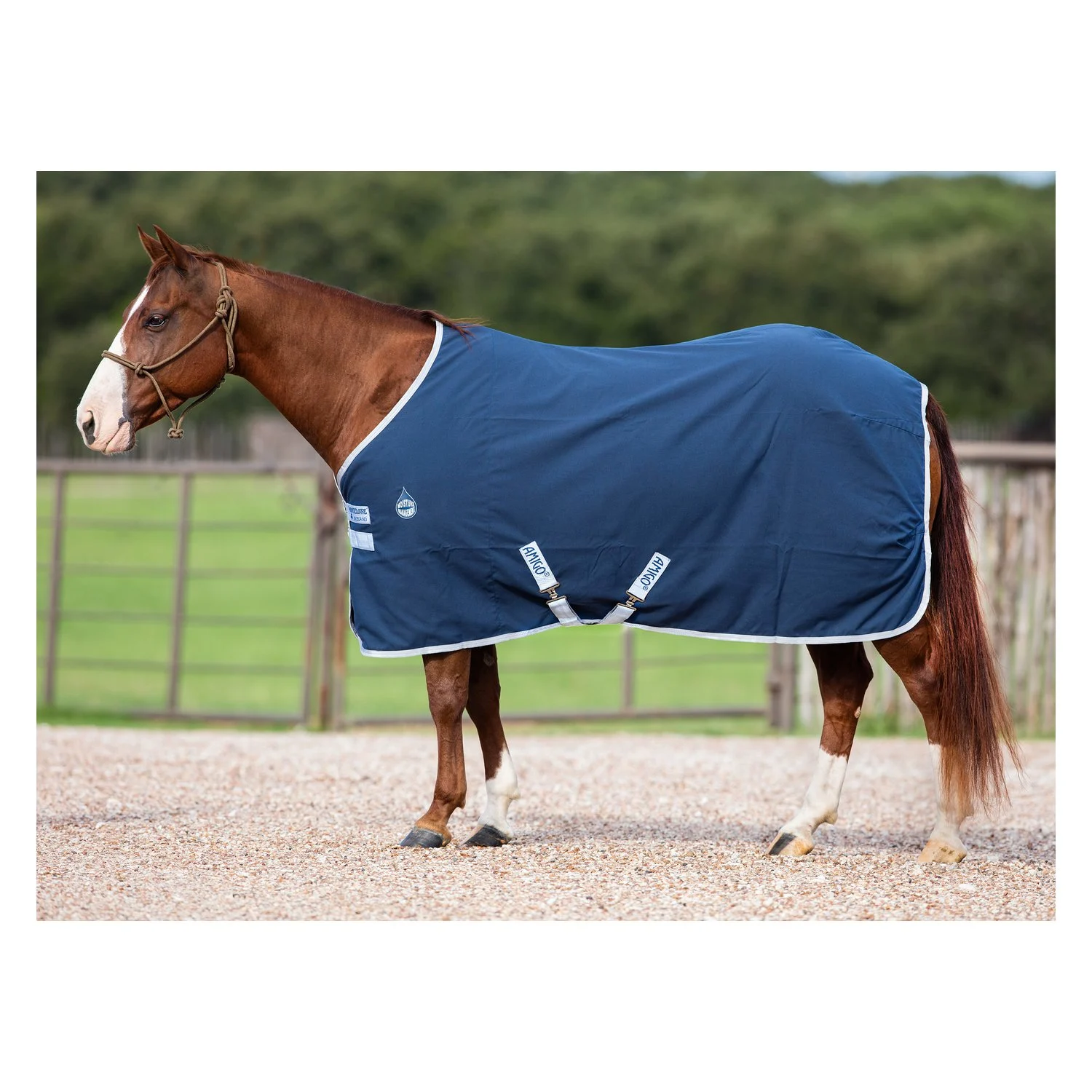 Horseware Stalldecke AMIGO Stable Sheet - navy/silver