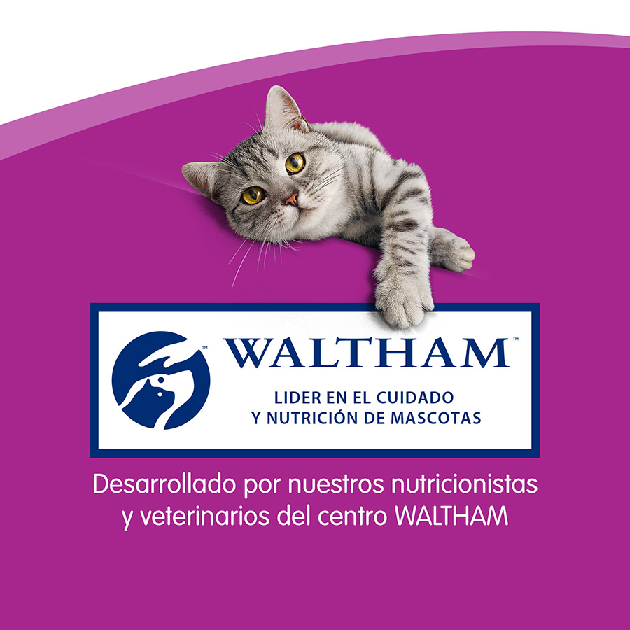 Whiskas Sticks Petiscos de Frango para Gatos