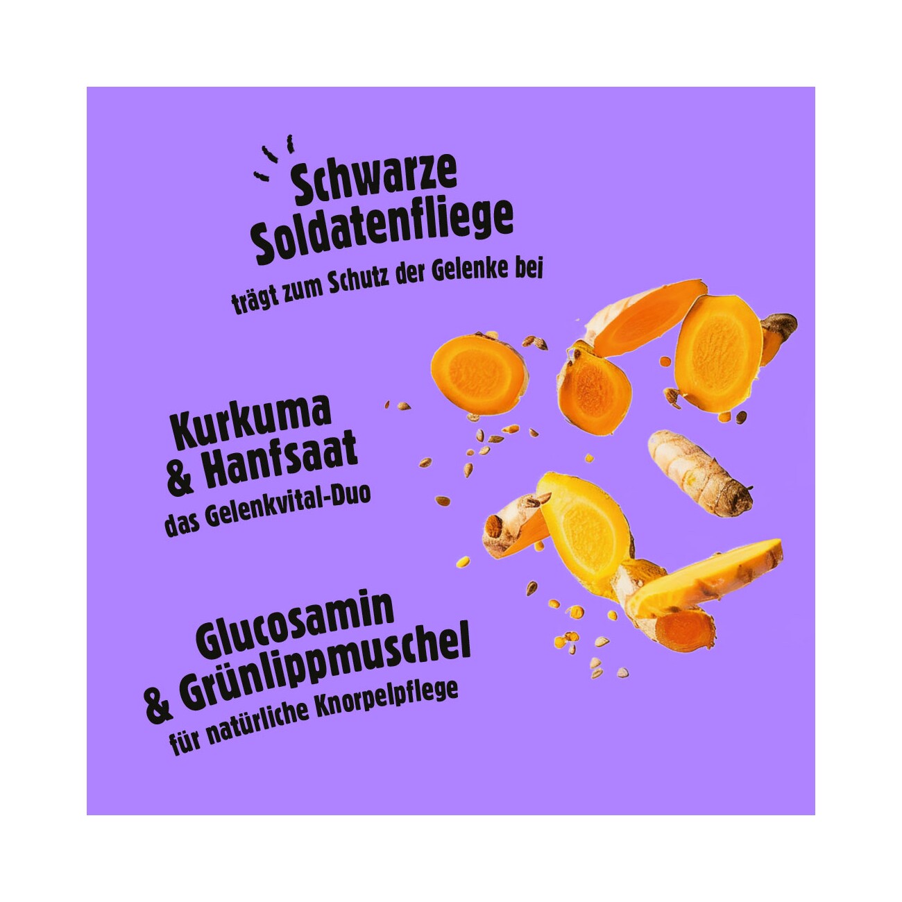 Fellows Gelenkglück Snack 125 g