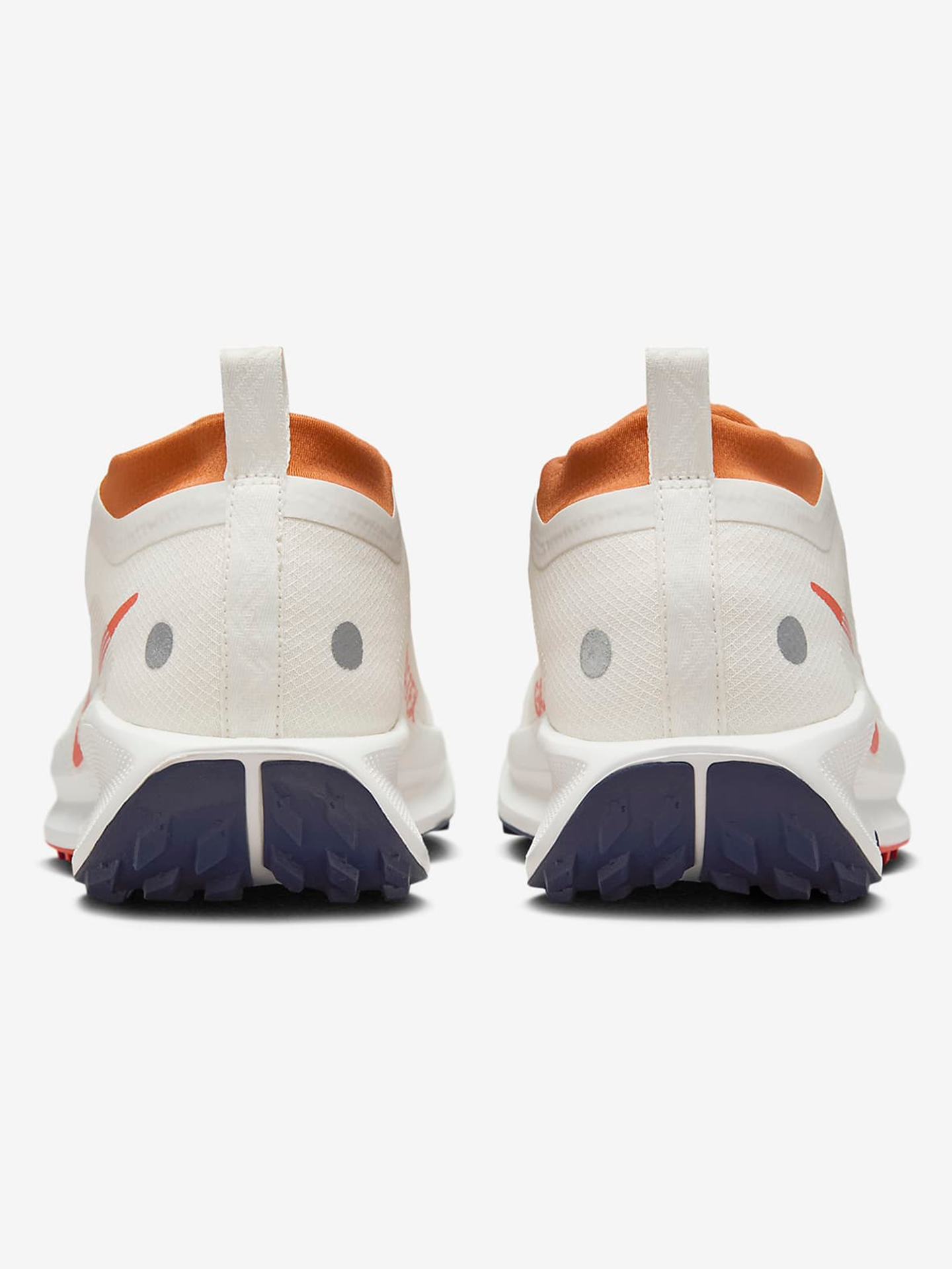 Pegasus Trail 5 GTX