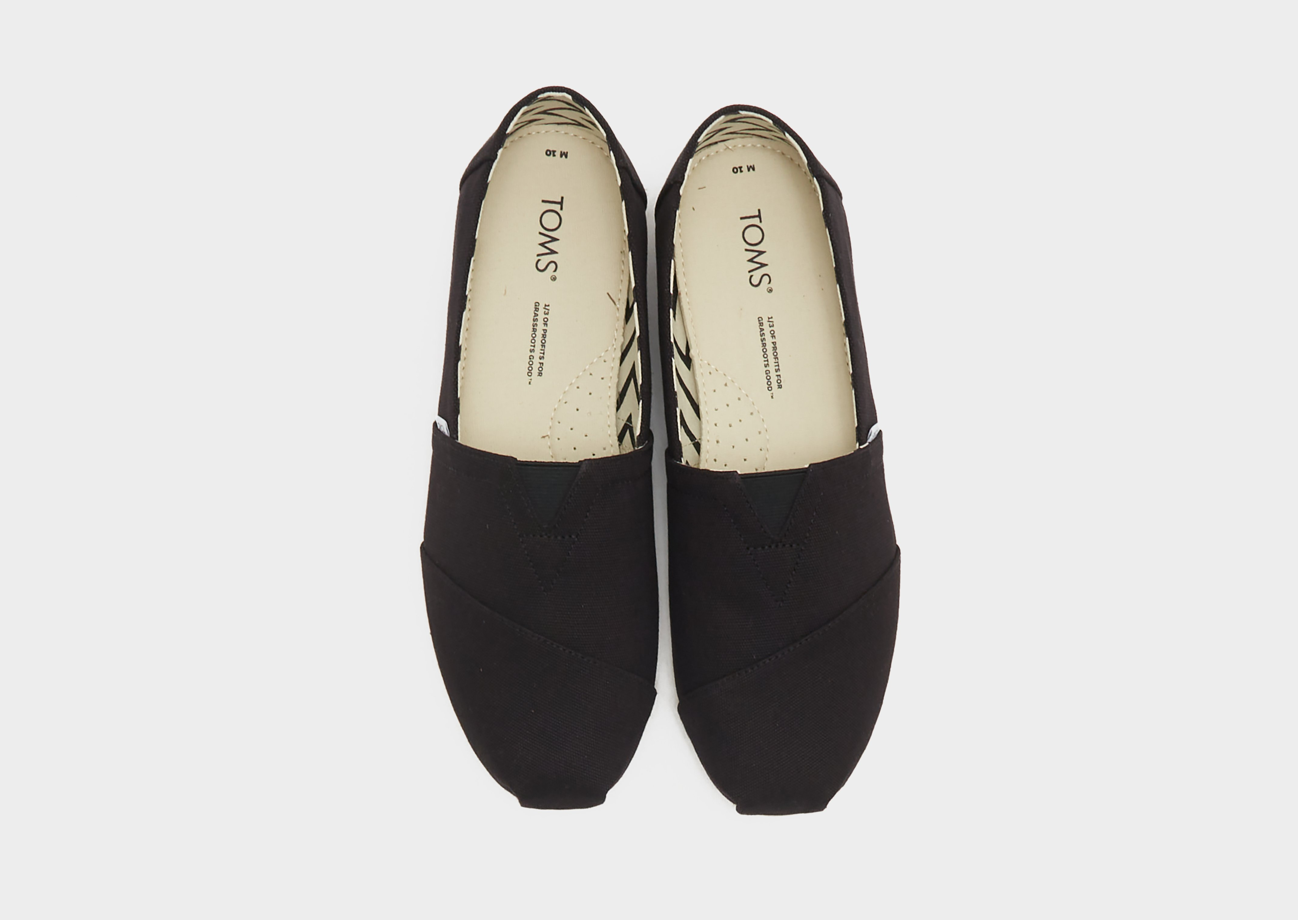 TOMS Alpargata Homme
