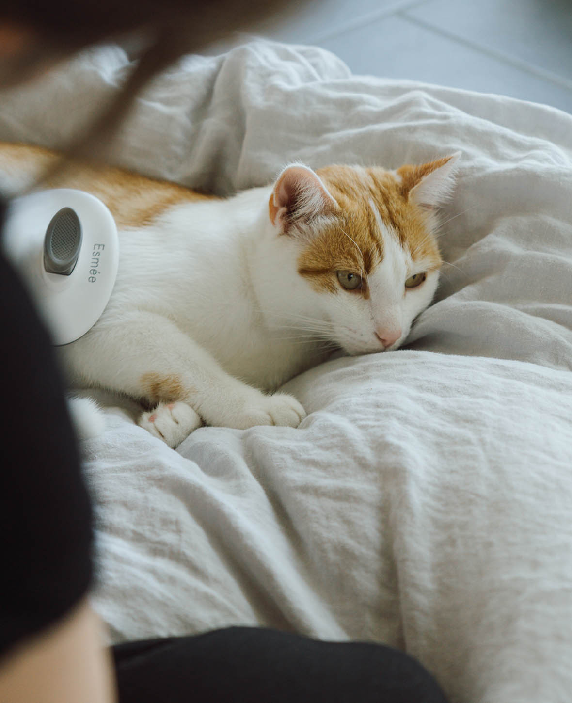 Esmée Pets - Selbstreinigende Haustier Fellbürste für Katzen / Hunde Fellpflege - Grau