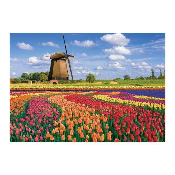 Calypto Tulpen 1000 Teile Puzzle
