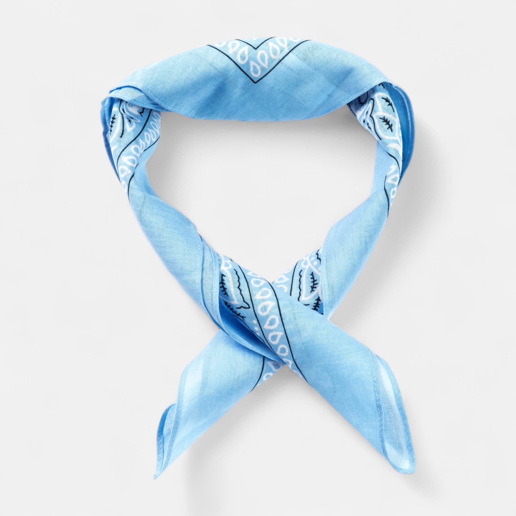 Foulard bleu ciel