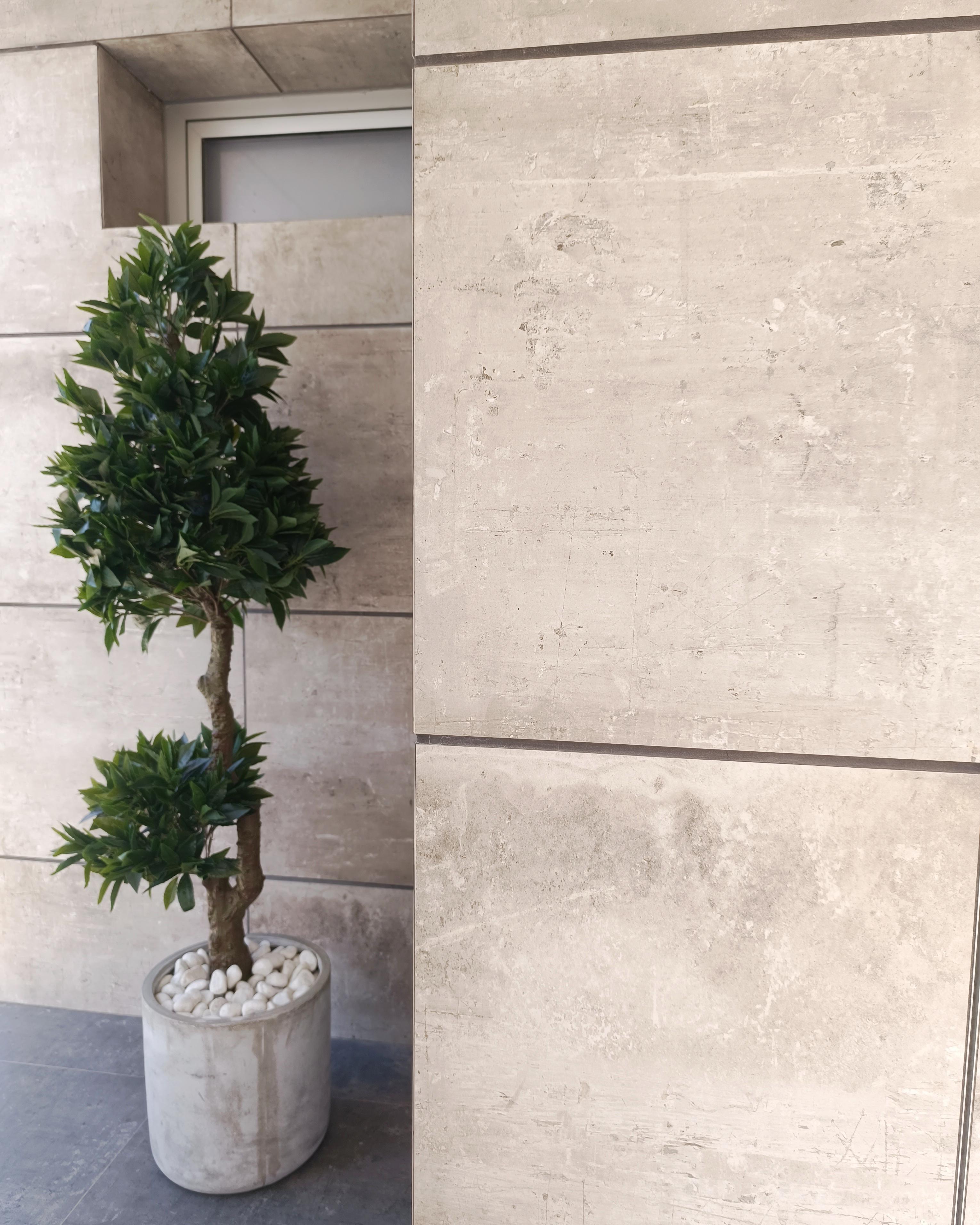 Kunstplant LAURELE 160 cm Groen