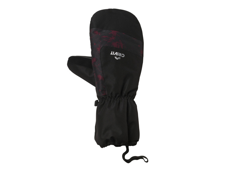 Skihandschoenen
