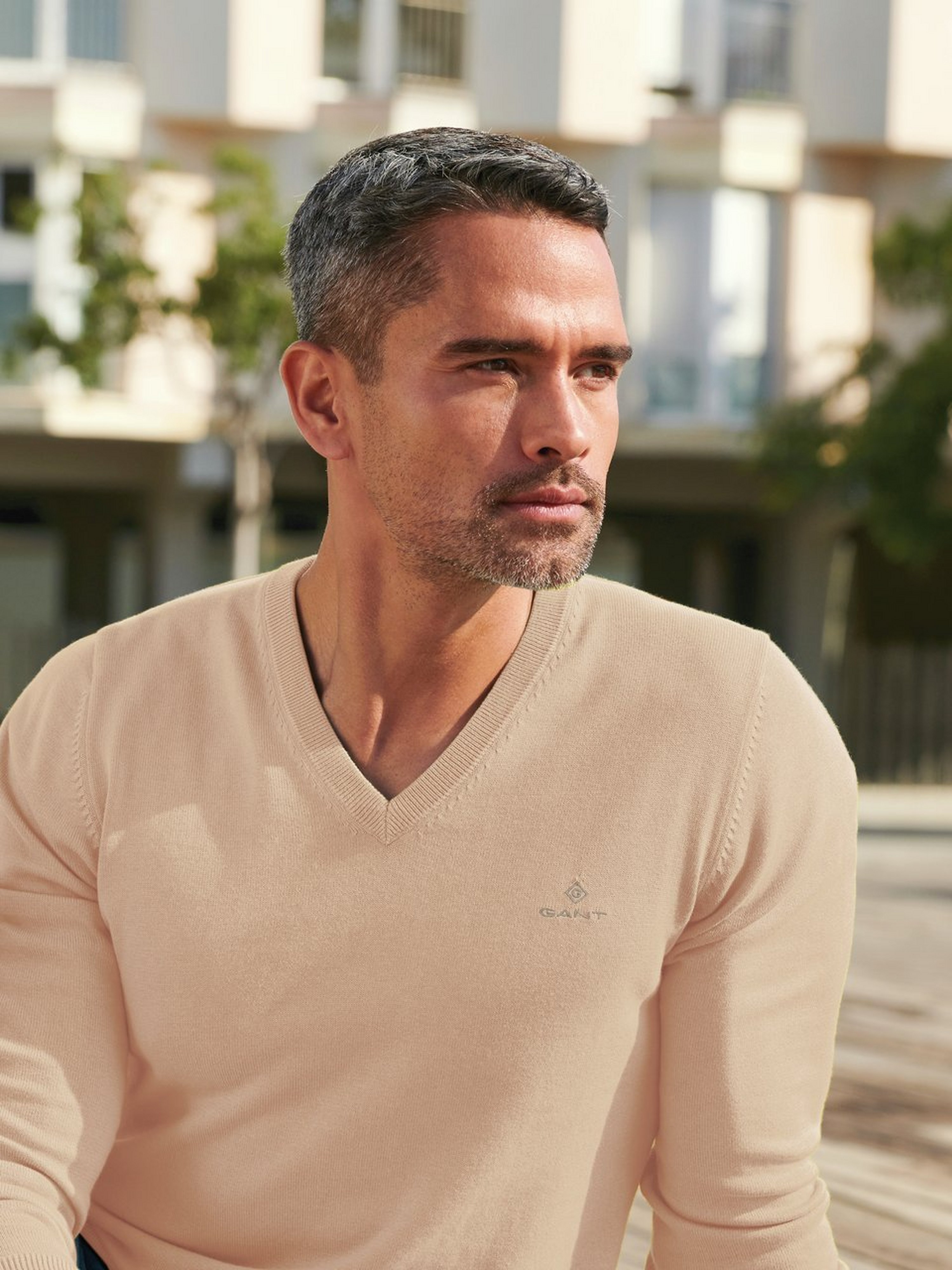V-Pullover