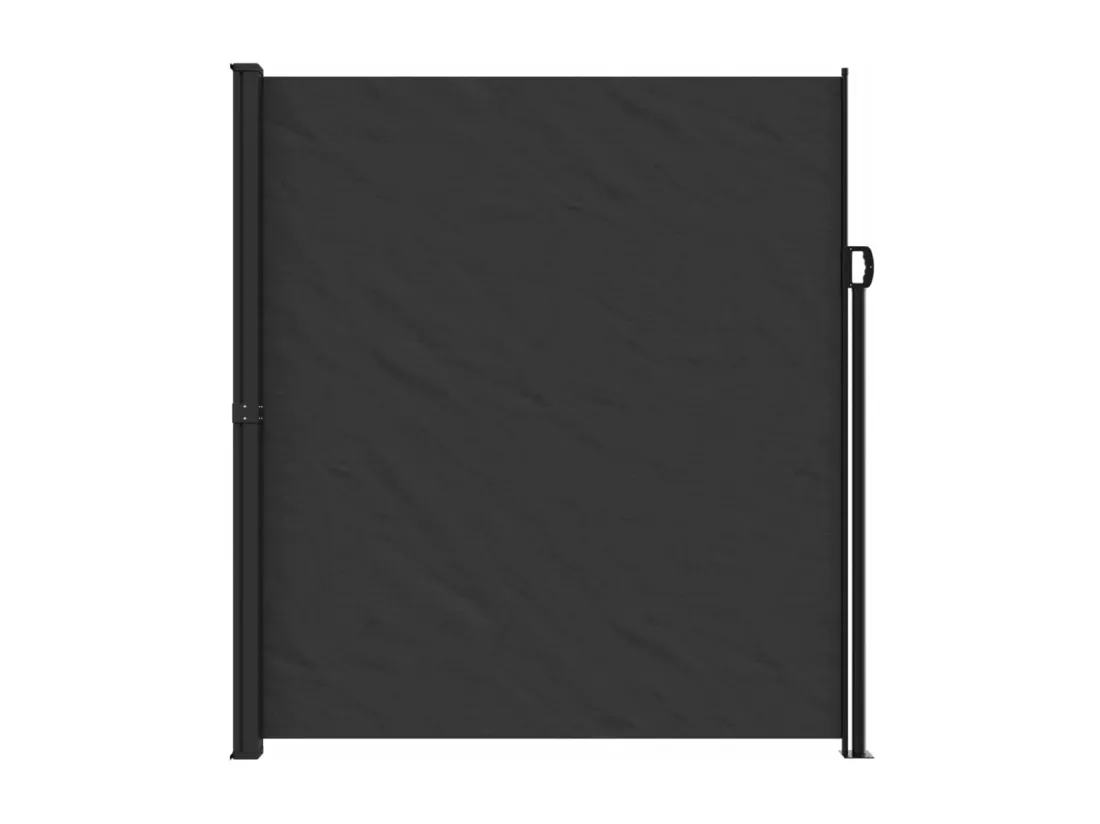 Auvent latéral rétractable noir 220x600 cm