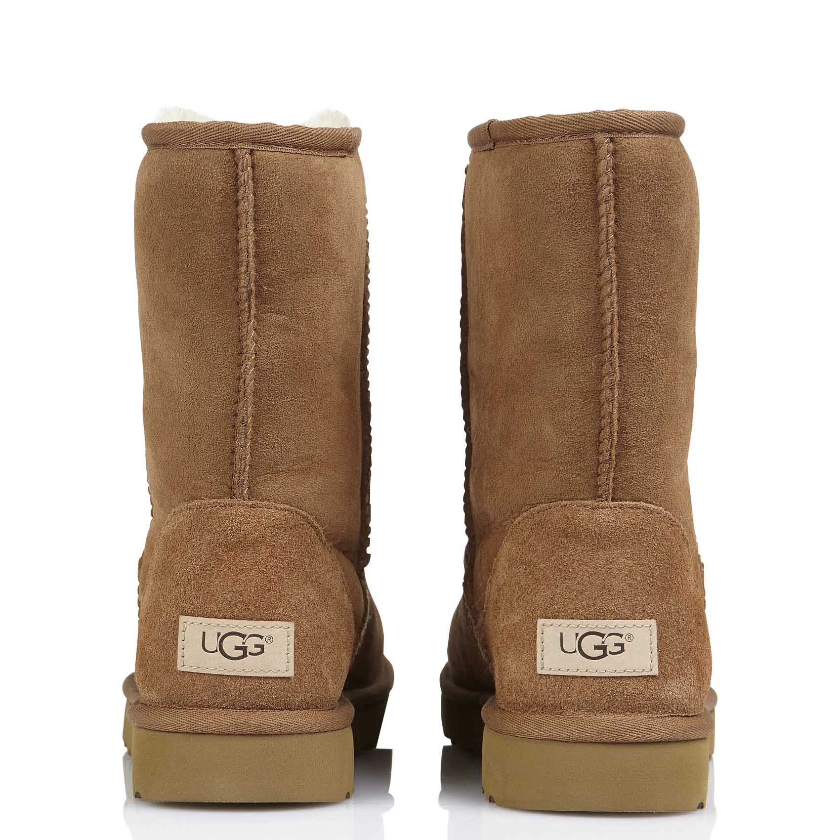 CLASSIC SHORT II - Boots Classic Short II en cuir | Marron