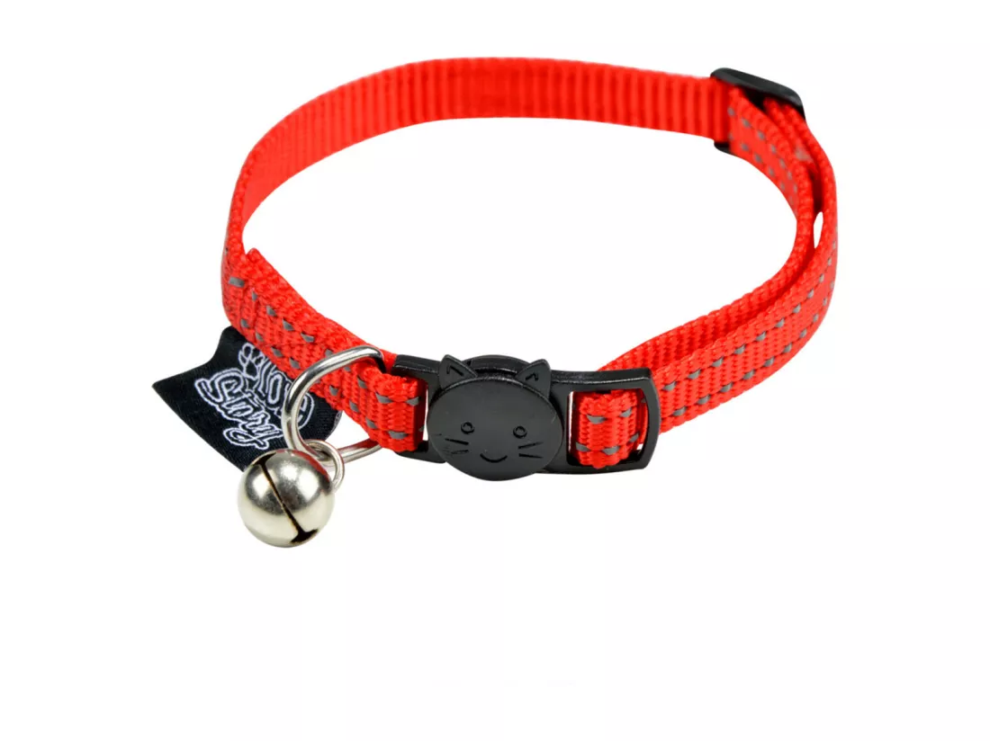 Collier pour Chien 