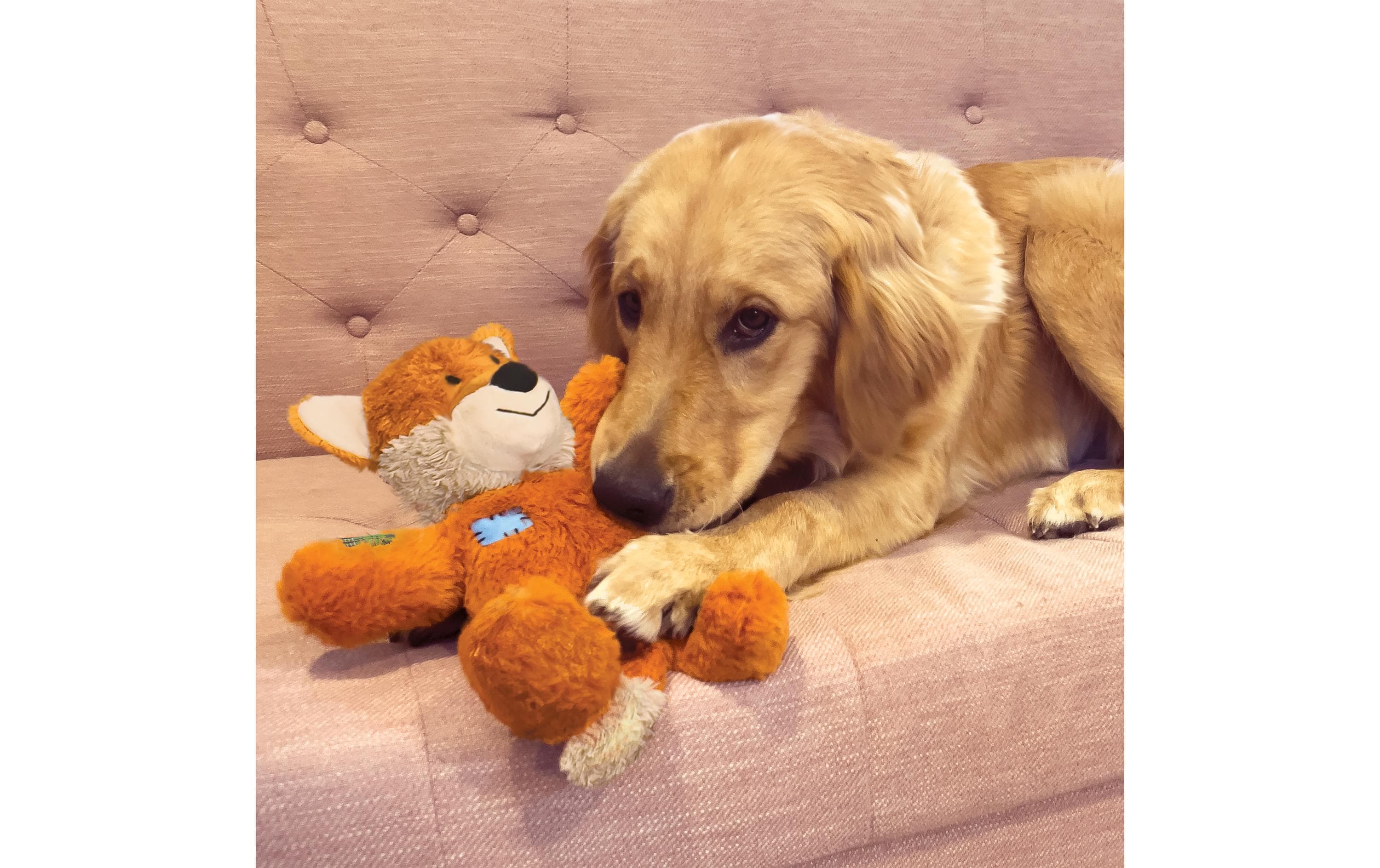 Wild Knots Fuchs S/M, 19 x 8 x 24 cmHunde-Spielzeug für Ihren vierbeinigen Freund