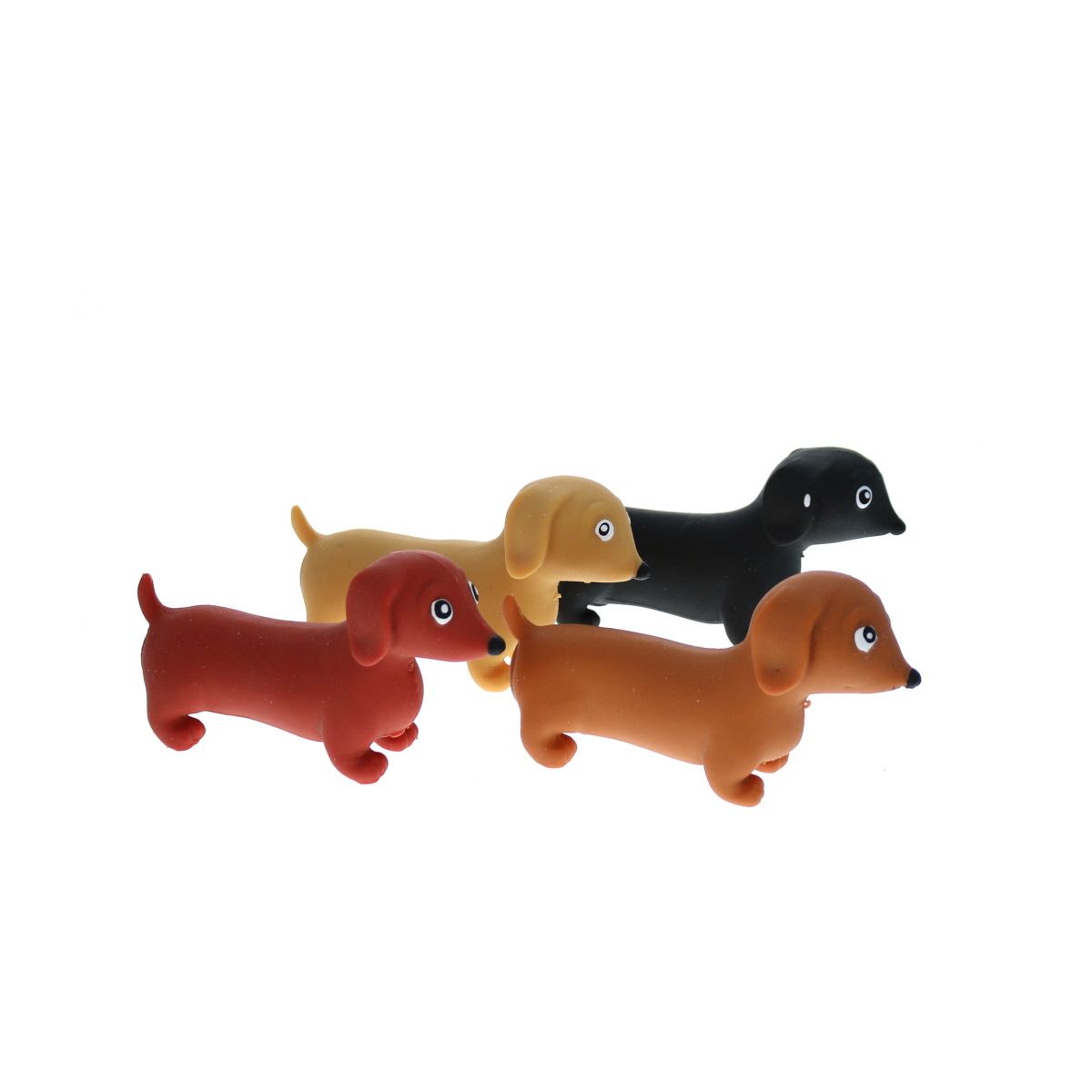 Chien saucisse teckel étirable Mercredi et Patati