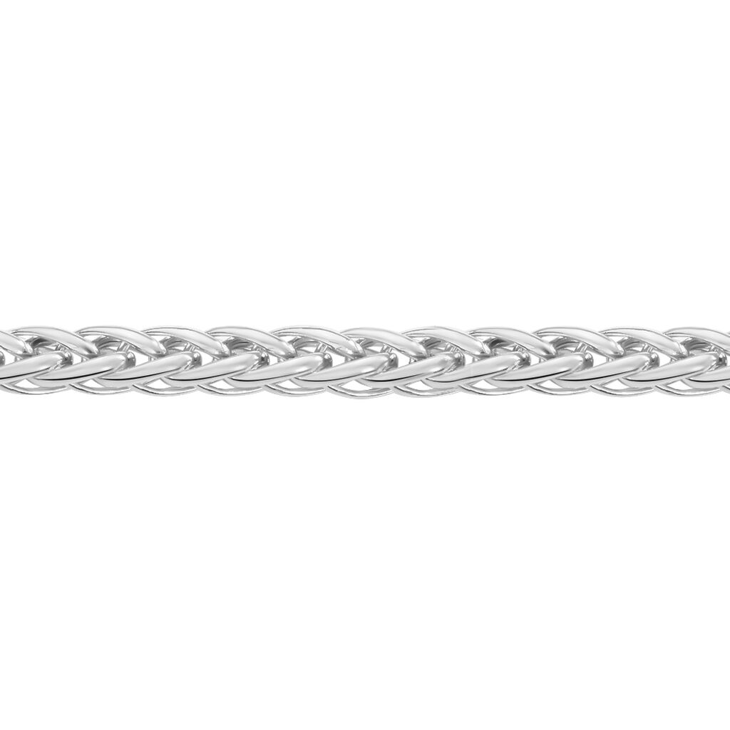 Chaîne Jayna Maille Palmier Or Blanc