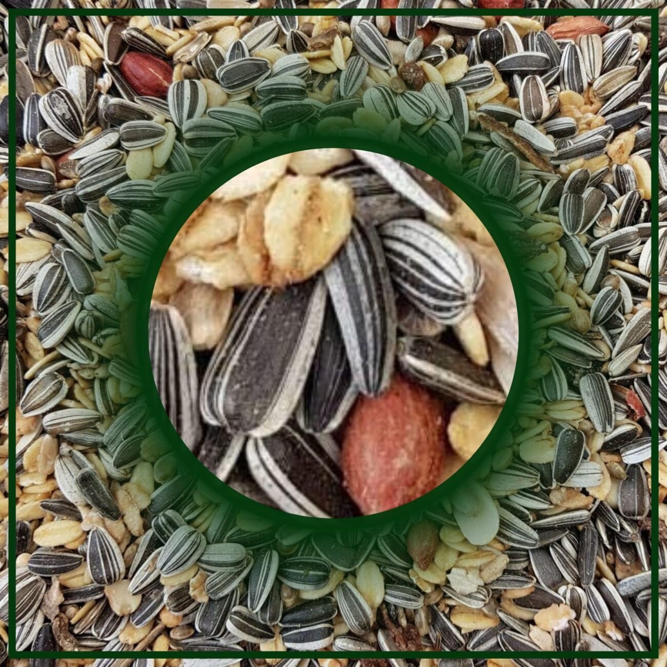 Supravit Winterfutter | Streufutter für Wildvögel 2,5 kg