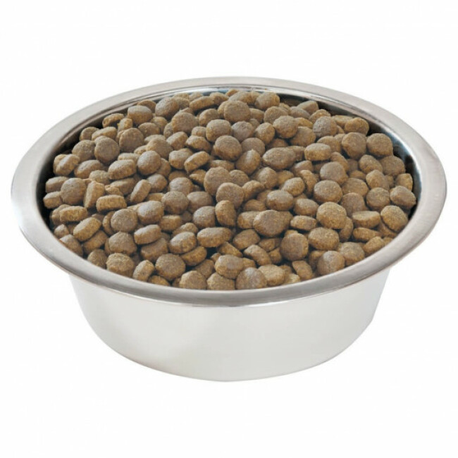 Pro Plan Large Robust Puppy Healthy Start