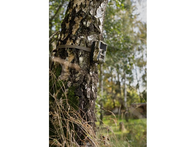 Dörr Kamera Wildkamera SnapShot Mini 5.0 Pro Überwachungskamera für hochauflösende Wildtierbeobachtung und Sicherheitsüberwachung