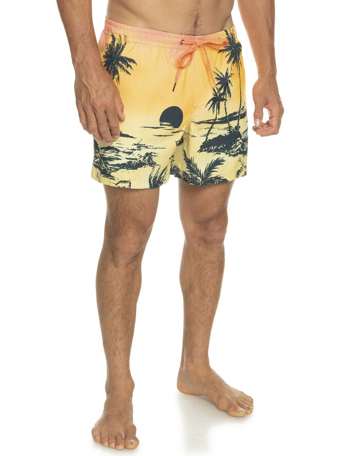 Quiksilver Everyday Paradise Volley 15