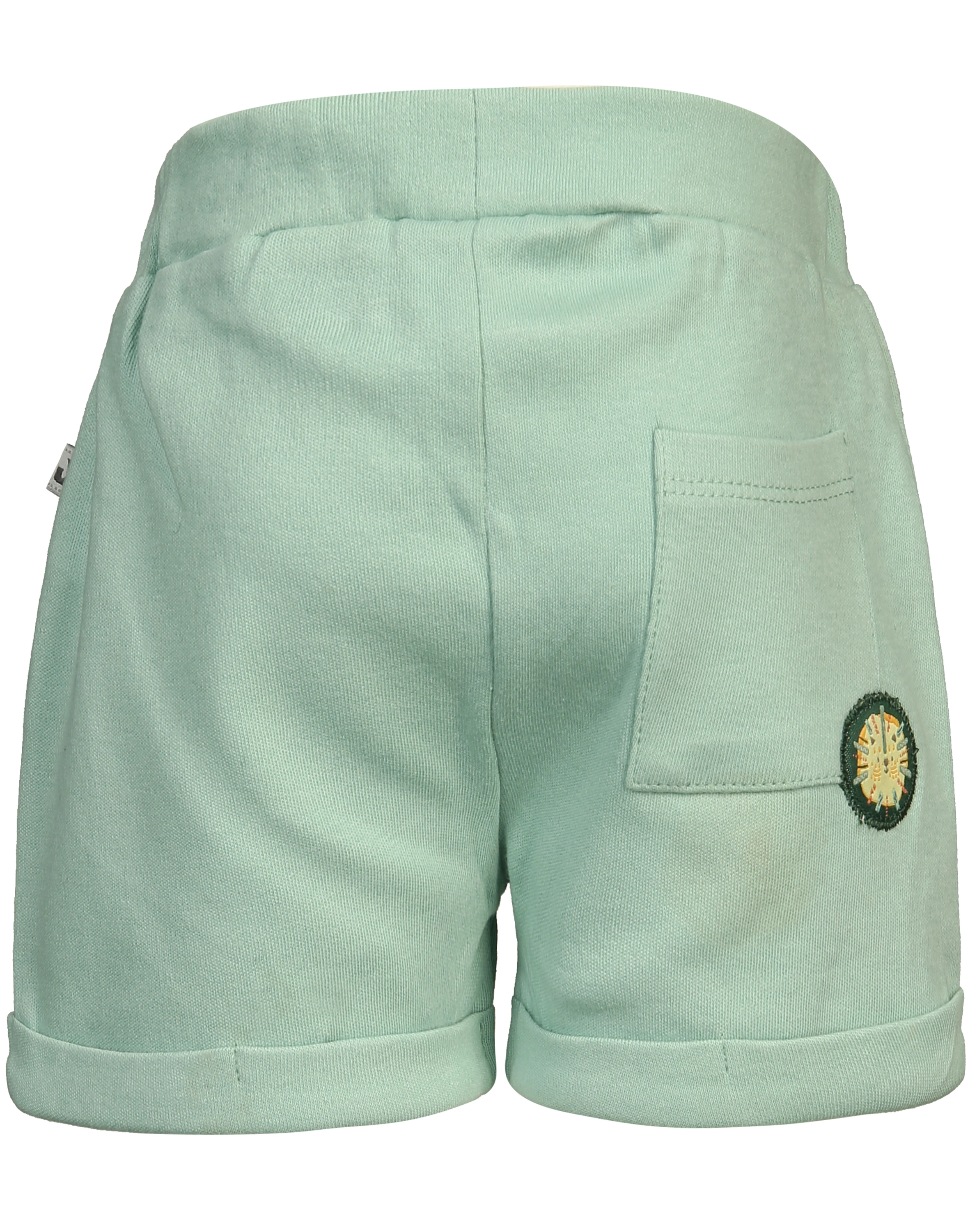 Shorts ANIMAL FRIENDS in grün