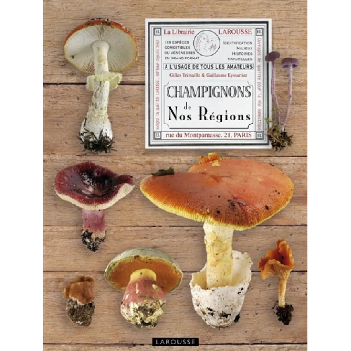 Champignons de nos régions · Occasion